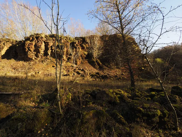 Nature reserve "Haard, Hesselsbierg, Staebierg"