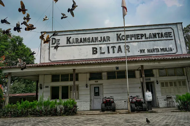 De Karanganjar Koffieplantage