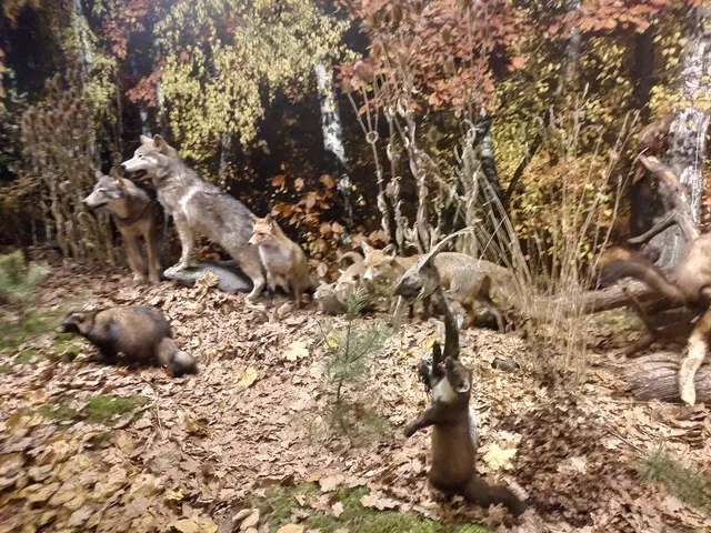 Muzeum Przyrody i Łowiectwa w Turzynie