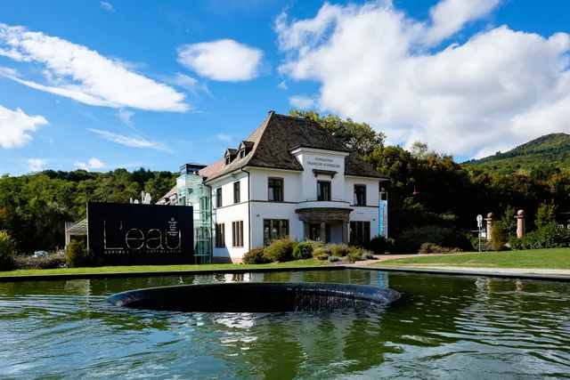 François Schneider Foundation