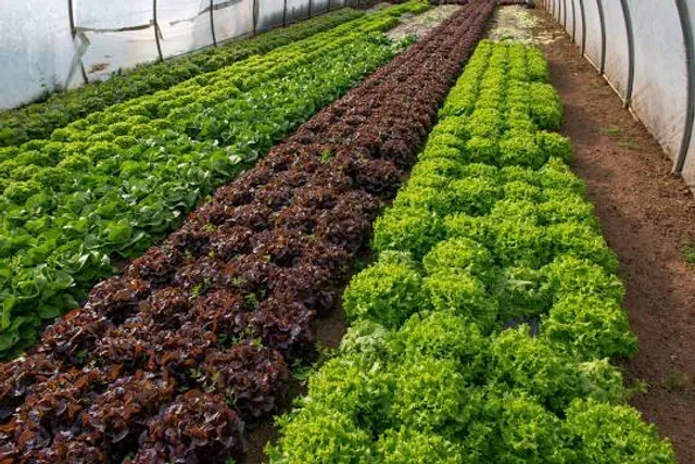 Museu Republicano Convenção de Itu