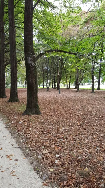 Parco Villa Ancilotto