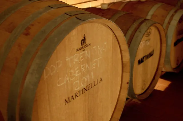 Azienda Agricola Agrituristica Martinelli Albino