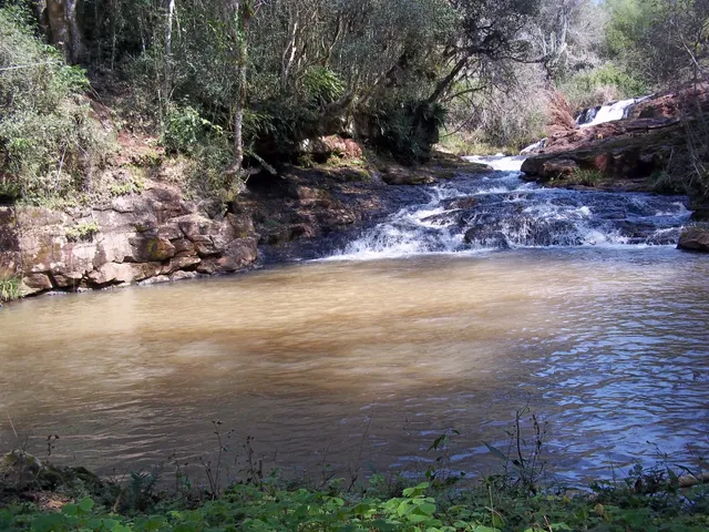 Departamento Leandro N. Alem