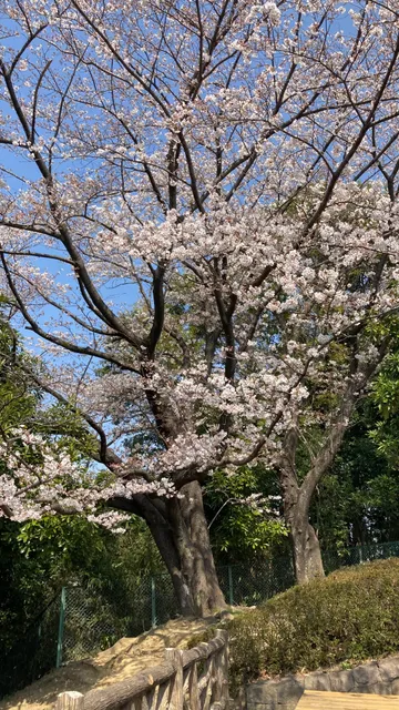 Nanamagari Miharashi Children's Park