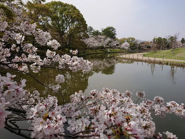 Itamishi Midorigaoka Park