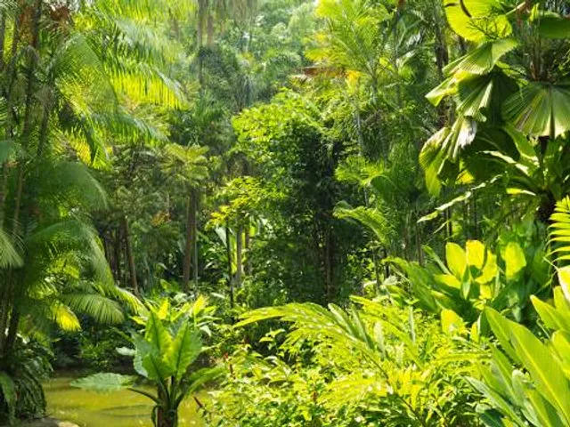 Tai Tong Organic EcoPark