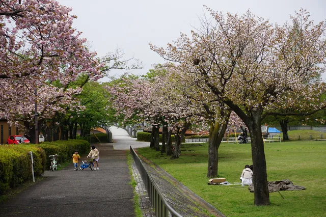Tsurumaki 2nd Park