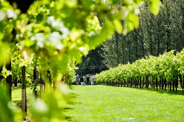 The Tasting Lodge @ Llanerch Vineyard