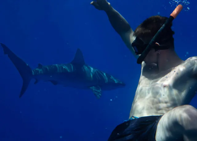 Ocean Outfitters Hawaii