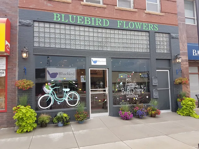 Bluebird Flowers & Gifts