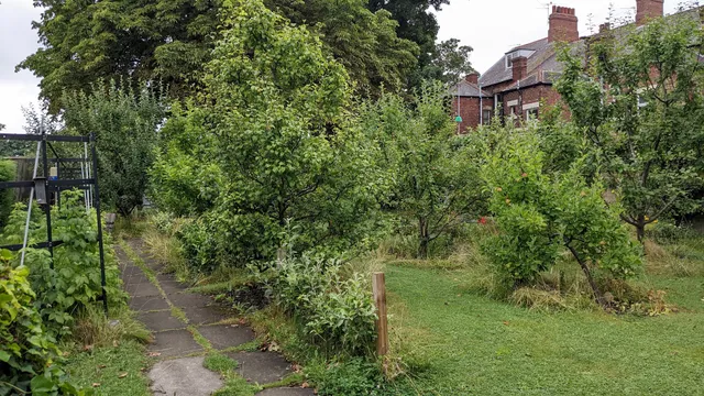Jesmond Community Orchard