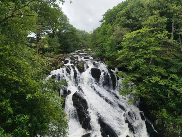 Rhaeadr Ewynnol / Swallow Falls