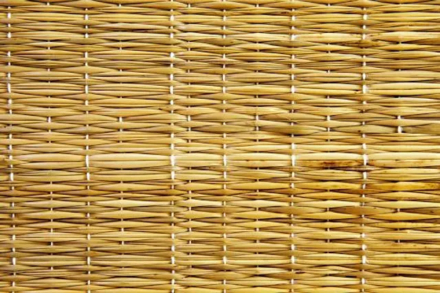 Holland Casino Utrecht