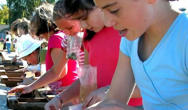 Mariner's Cove Mining Company