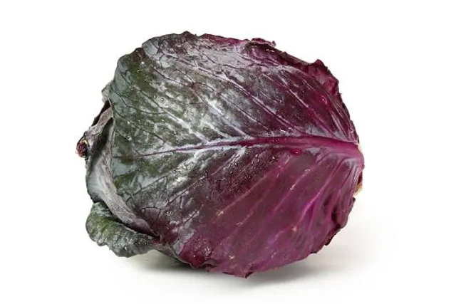 House Museum "PKYavorov"