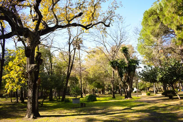Parque de Las Acacias