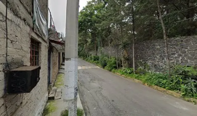 Antojitos El Botanas