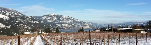 Rollingdale Winery Inc