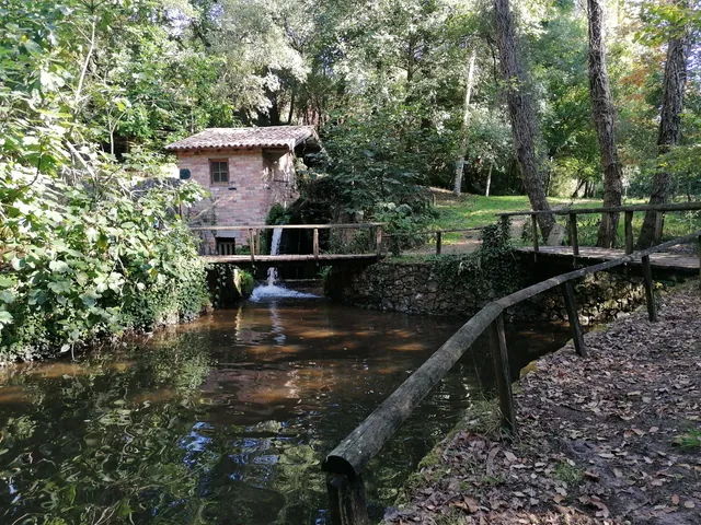 Parque de Merendas do Pisão