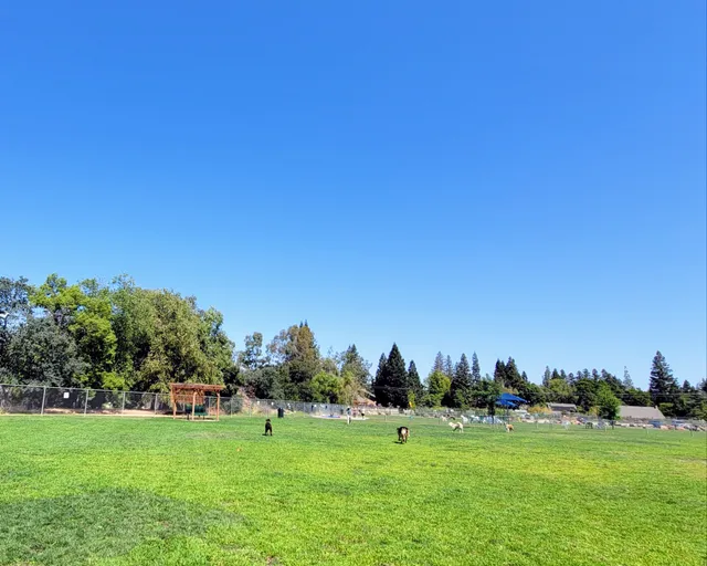 Phoenix Large Dog Park