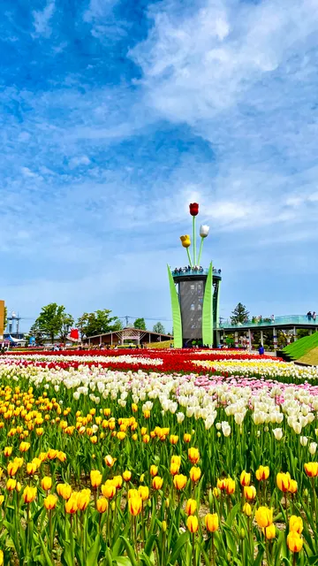 TONAMI TULIP GALLERY