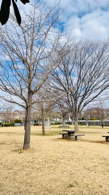 Hongodai Central Park