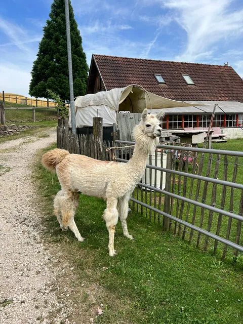 Gemeinde Oberndorf an der Melk