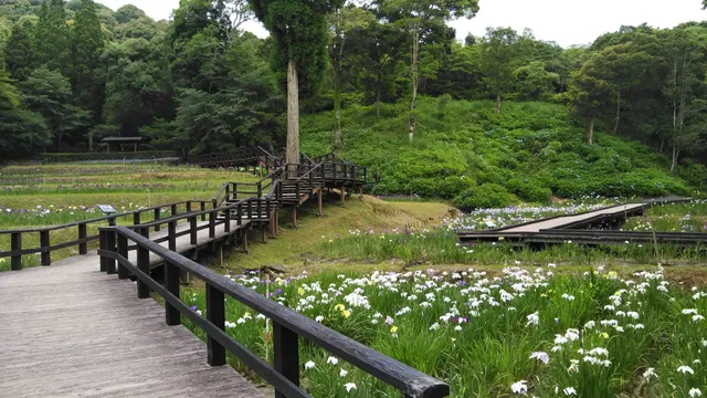 Nishi no Kubo Park