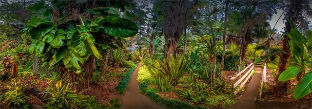 Abbotsbury Subtropical Gardens