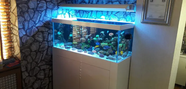 Emas Akvaryum Sistemleri