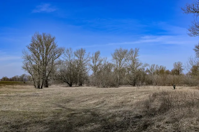 Rezerwat przyrody Kępy Kazuńskie