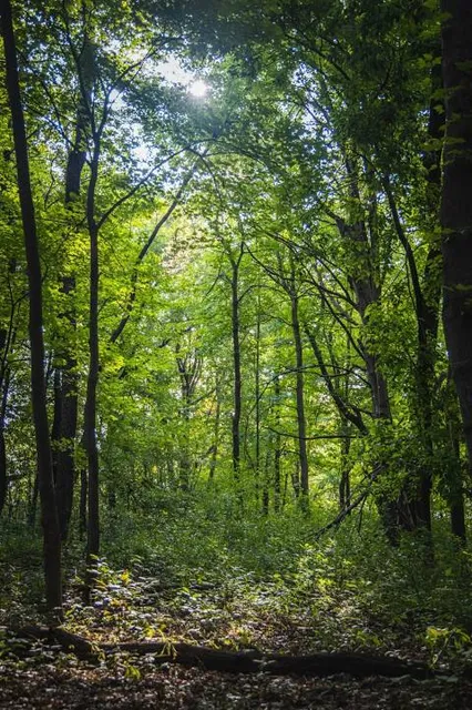 Tamarack Nature Center