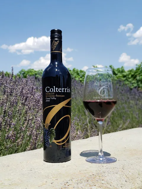 Colterris at the Overlook