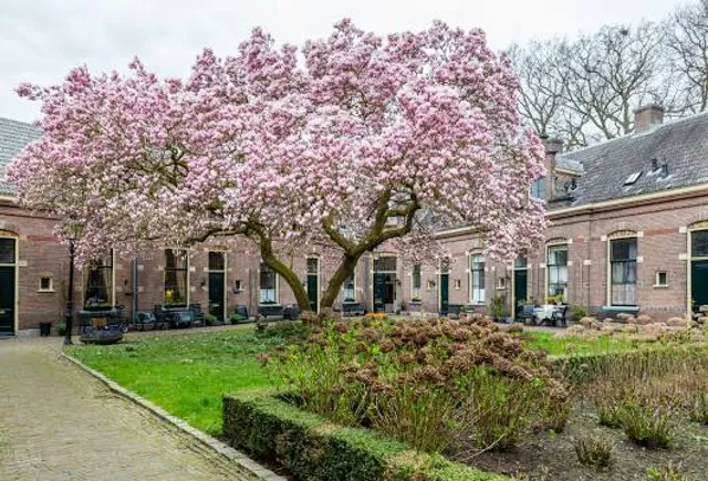 Landhuis Oud Amelisweerd