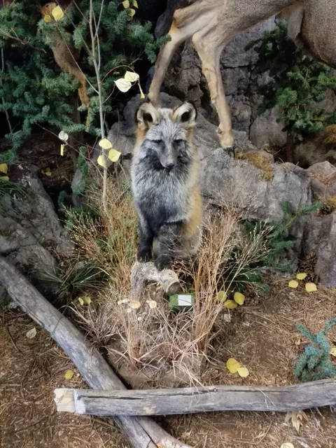 Garth & Jerri Frehner Museum of Natural History