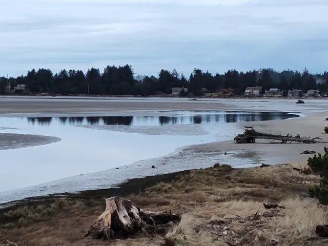 Necanicum Estuary Natural History Park