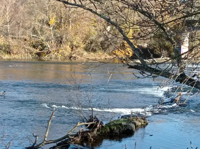 Réserve naturelle régionale Confluence Garonne-Ariège