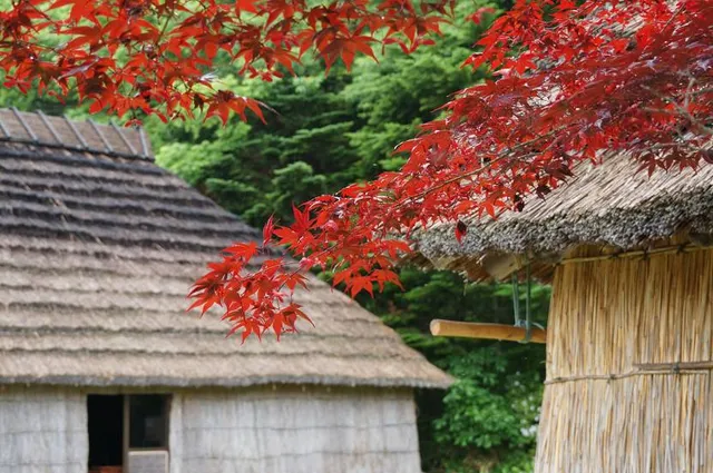 Upopoy (National Ainu Museum and Park)