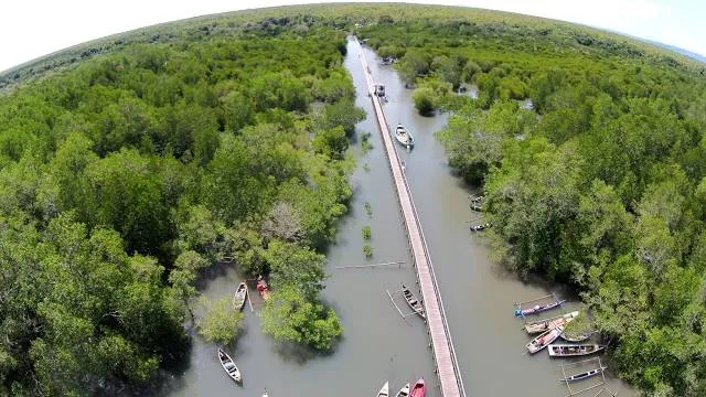 Cape Fear River Trail Park