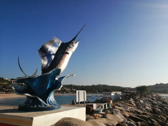 El Coyote Hostal and Surf