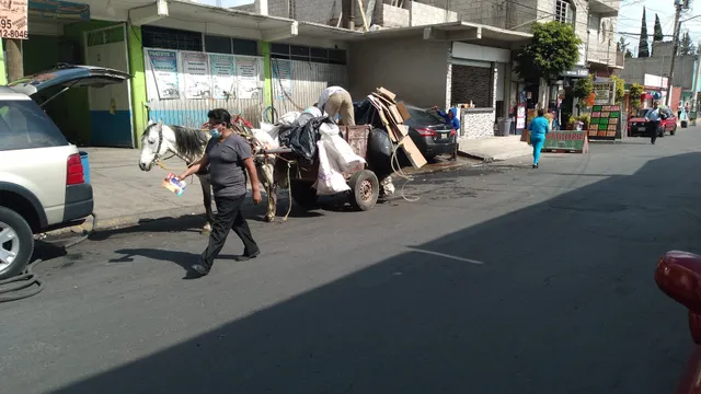 Mercado Independencia