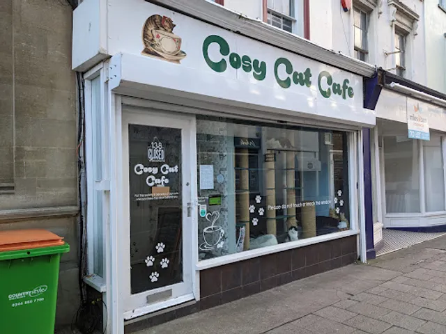 The Cosy Cat Cafe
