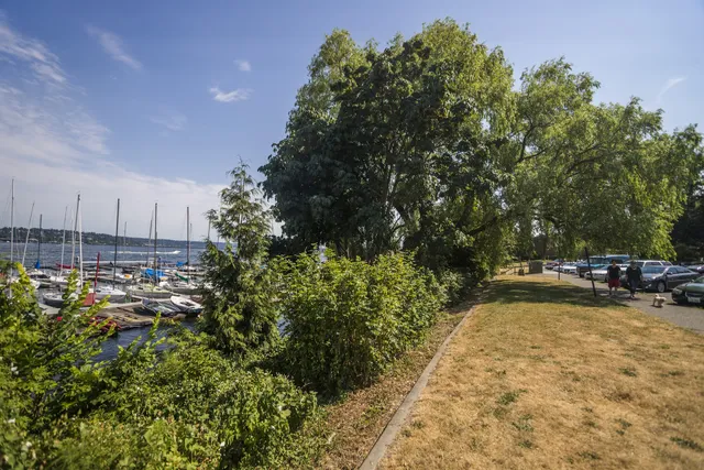 Leschi Park