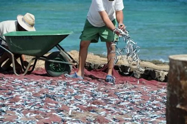 Apartamentos en La Graciosa La Pardela