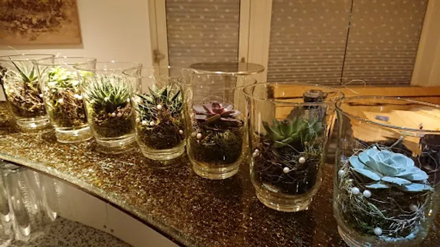 Kafi Grüezi Dietikon