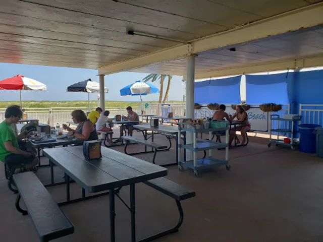 Sun Dog on the Beach