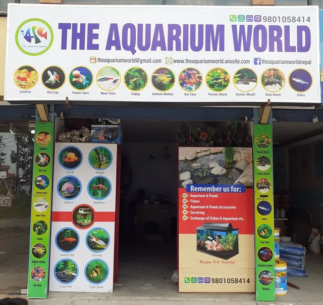 The Aquarium World