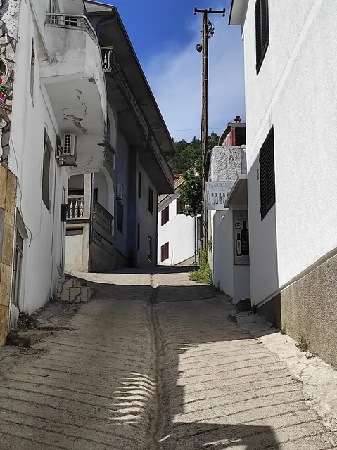 Buzuku Montenegro Olive Oil