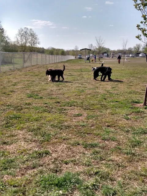 Prairie Island Dog Park